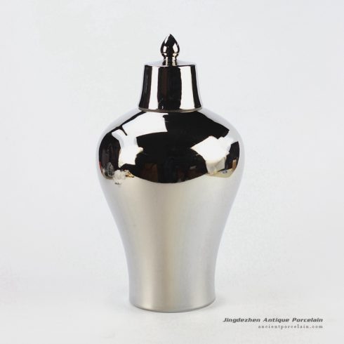RYNQ178-D_silver ceramic temple jar