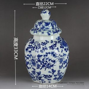 RYTM53-A_Pumpkin shape blue white bird butterfly floral mark crockery jar