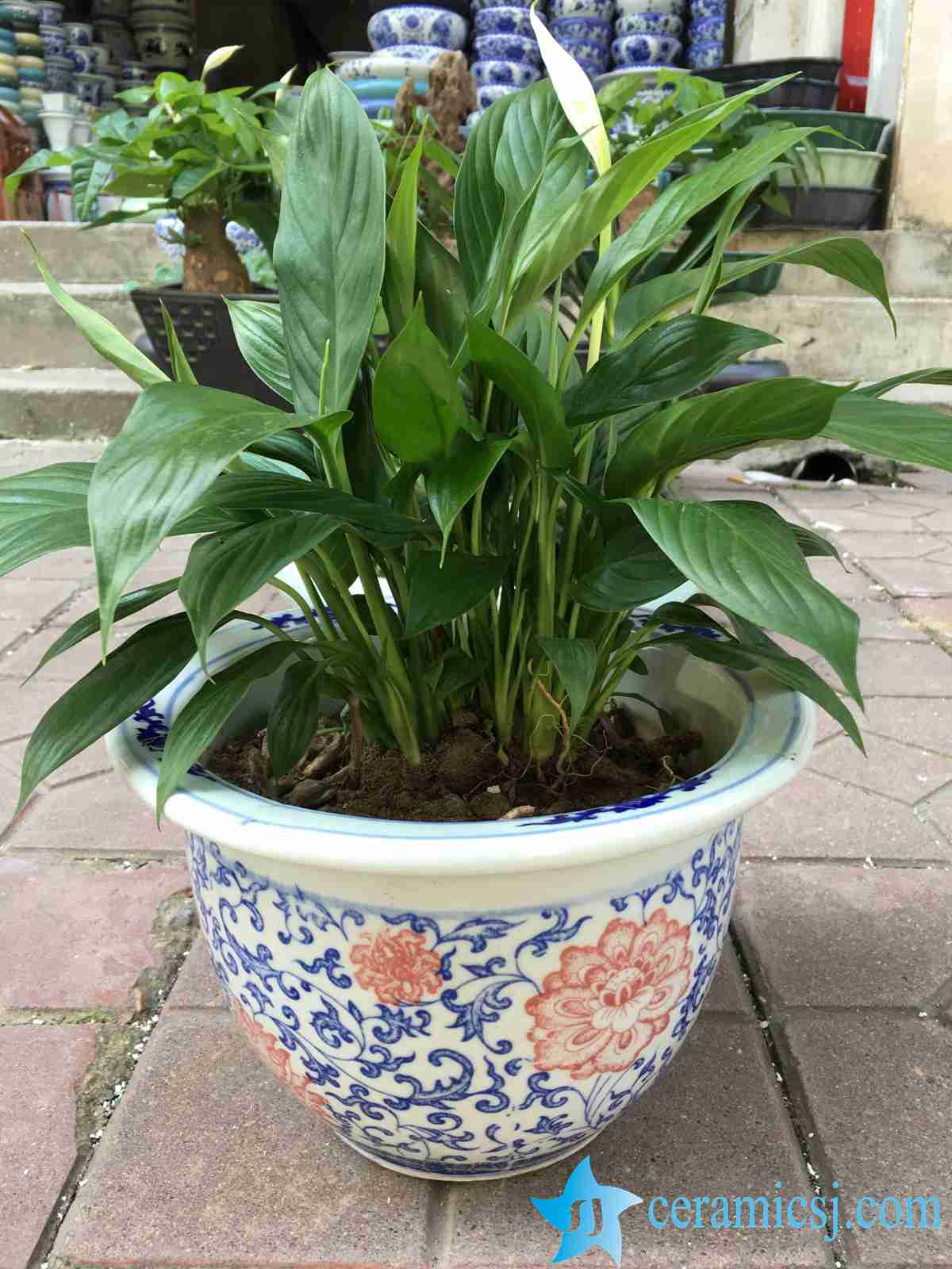 blue and white large pot