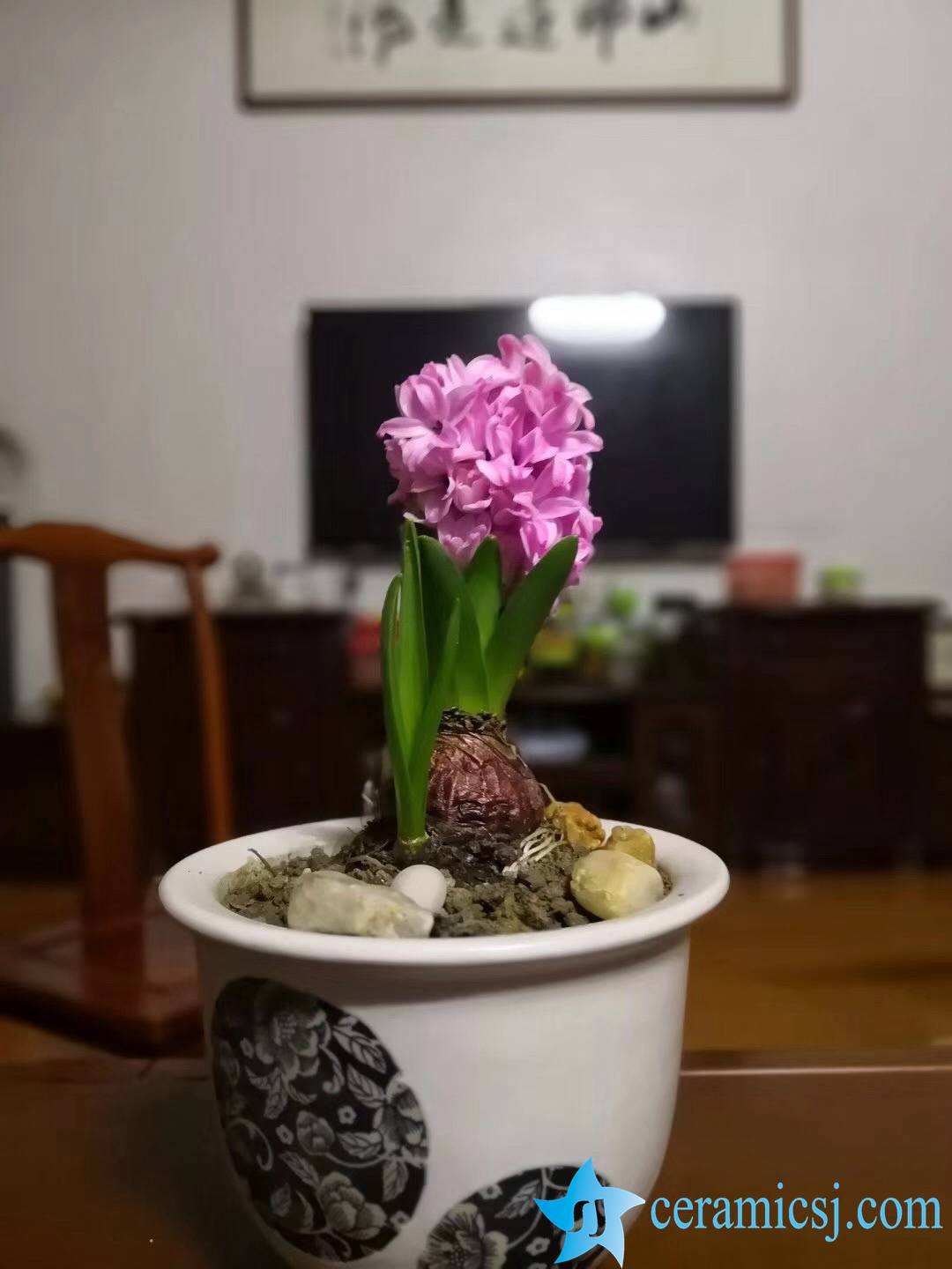 Household ceramic flowerpot