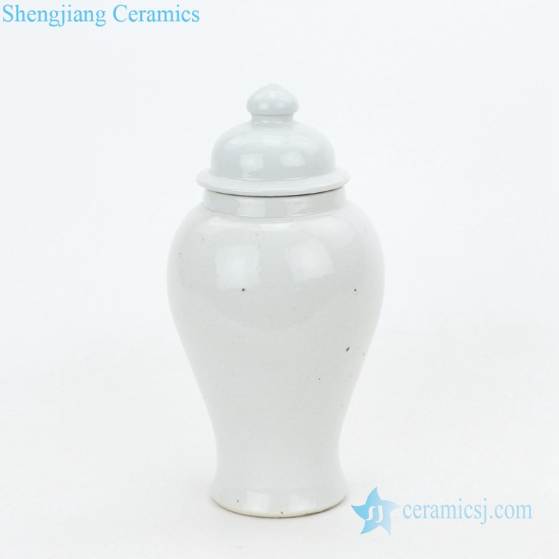 Pure pigment elegant porcelain vase 