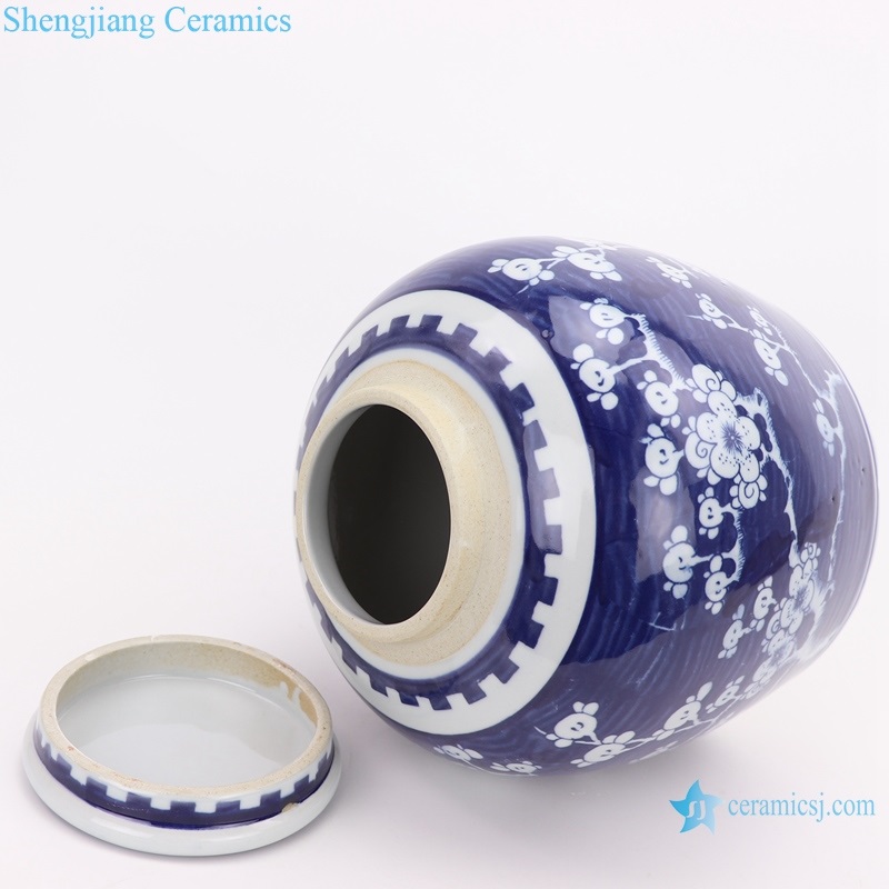 Blue and white ice plum pattern jar side view 