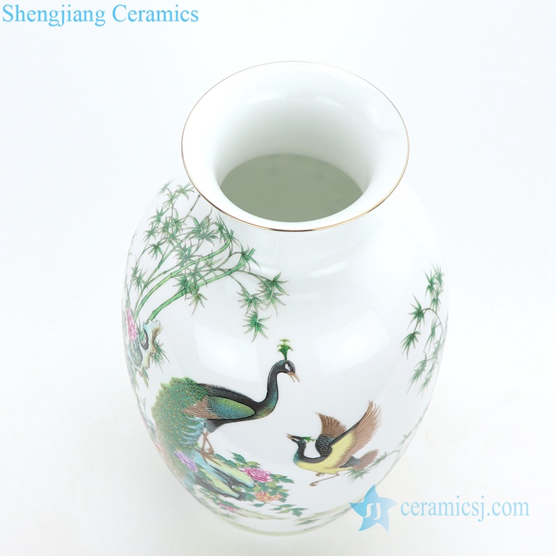 Peacock pattern chinese ceramic vase bottle view