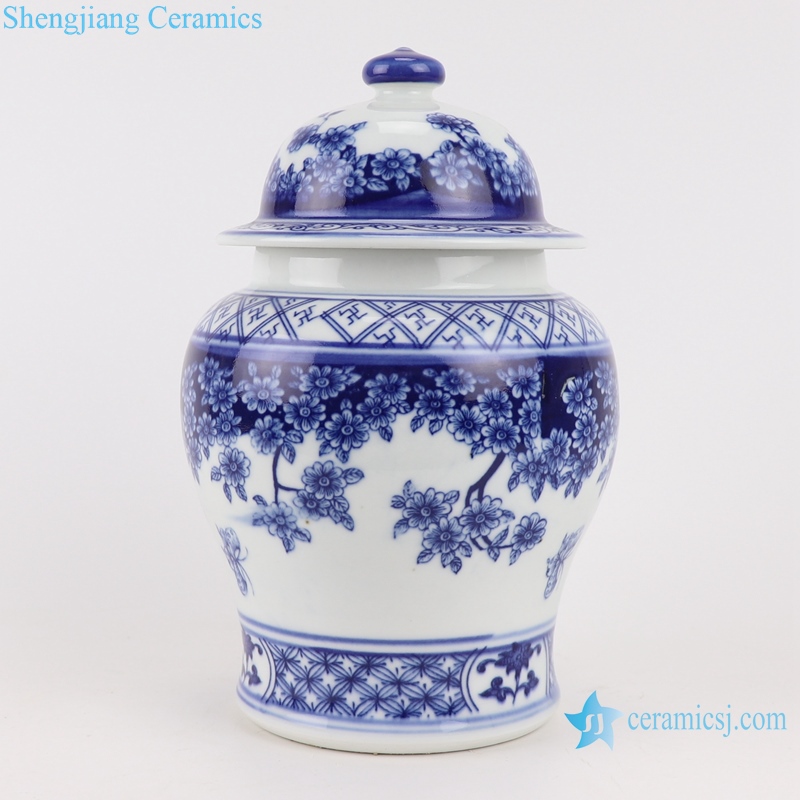 RZBO19 Blue and white butterfly pattern general pot with lid