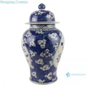RZGC11_ late qing dynasty blue and white ice plum Windows antique porcelain ceramic ginger jars