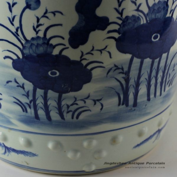 RYLU18_9704 RYLU18_9704