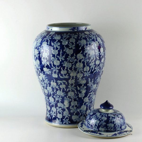 RYLU19_9715 RYLU19_9715