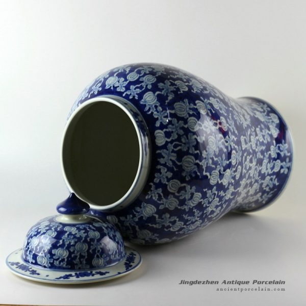 RYLU19_9717 RYLU19_9717