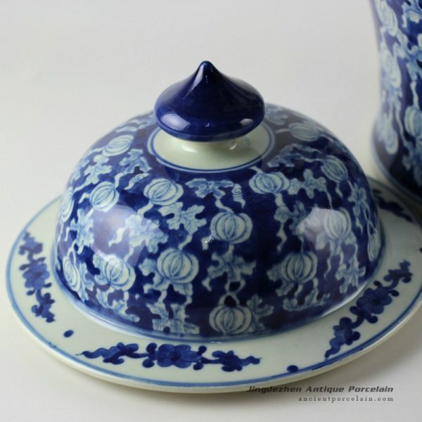 RYLU19_9719 RYLU19_9719