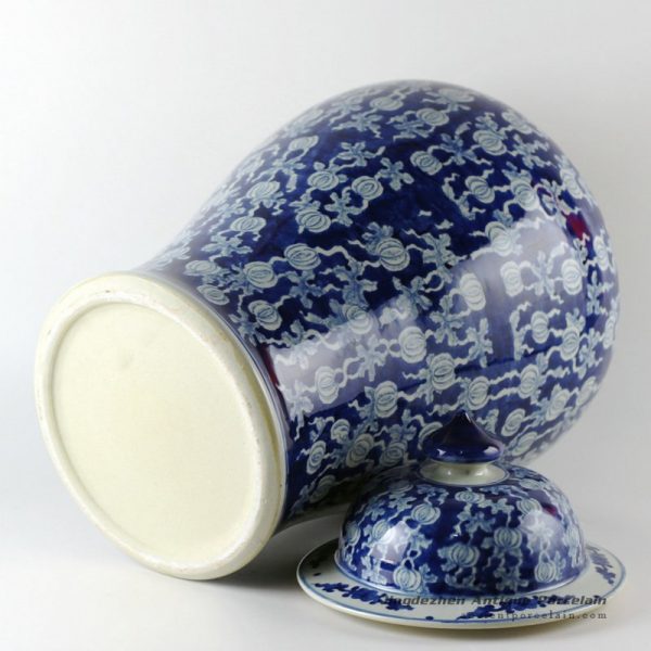 RYLU19_9720 RYLU19_9720