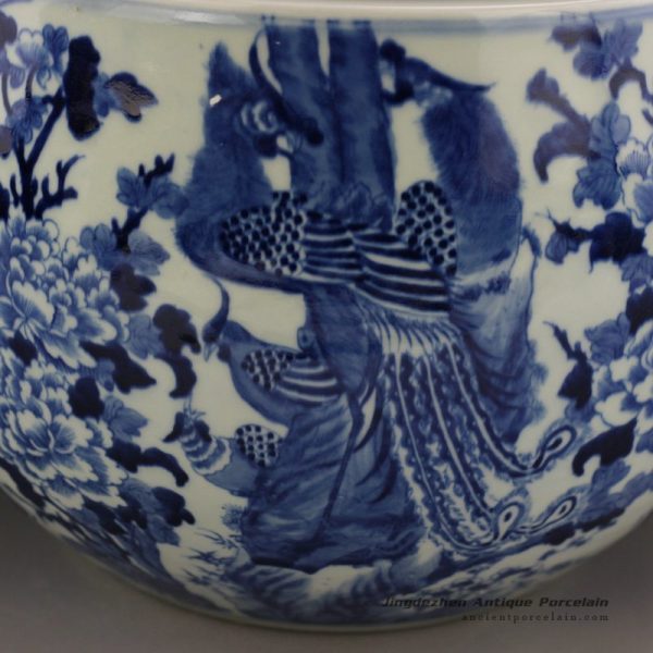 RYLU21_0730 RYLU21_0730