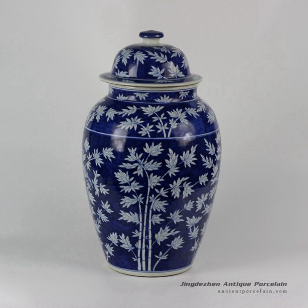 RYLU22_1631 RYLU22_1631