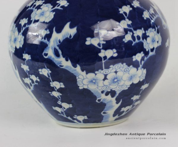 RYLU30_1686 RYLU30_1686