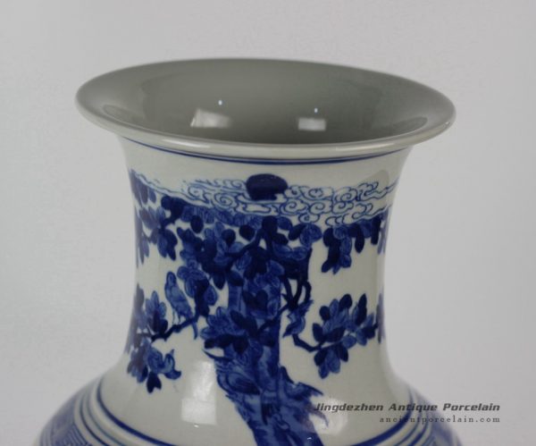 RYLU33_1695 RYLU33_1695