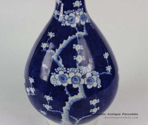 RYLU34_1700 RYLU34_1700