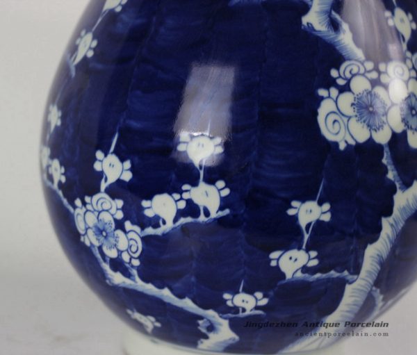 RYLU34_1701 RYLU34_1701