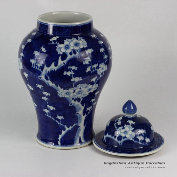 RYLU35_1703 RYLU35_1703