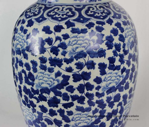 RYLU42_1777 RYLU42_1777