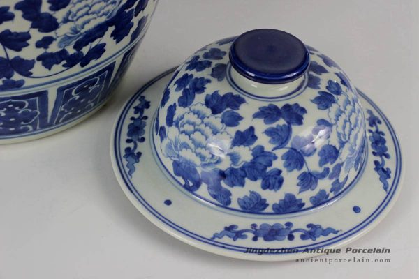 RYLU42_1779 RYLU42_1779