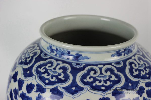 RYLU42_1780 RYLU42_1780