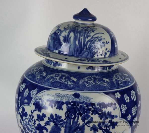 RYLU43_1782 RYLU43_1782