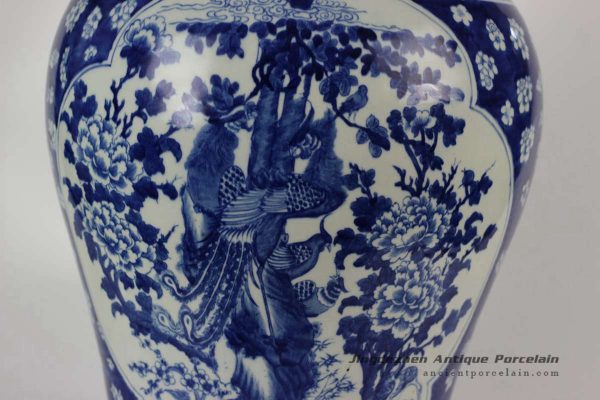 RYLU43_1783 RYLU43_1783