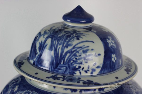 RYLU43_1784 RYLU43_1784