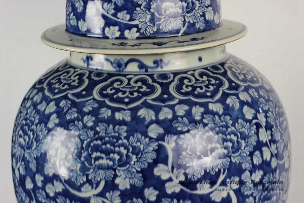 RYLU47_1805 RYLU47_1805