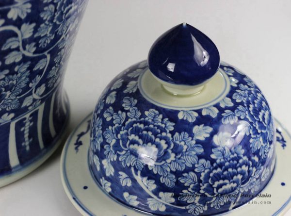 RYLU47_1807 RYLU47_1807