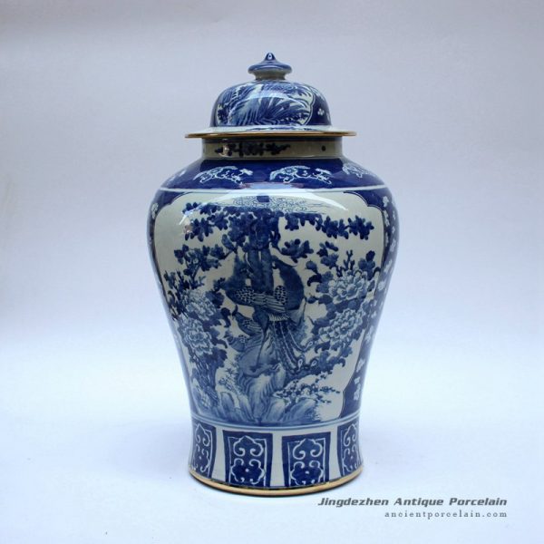 RYLU48-A_9207 RYLU48-A_9207