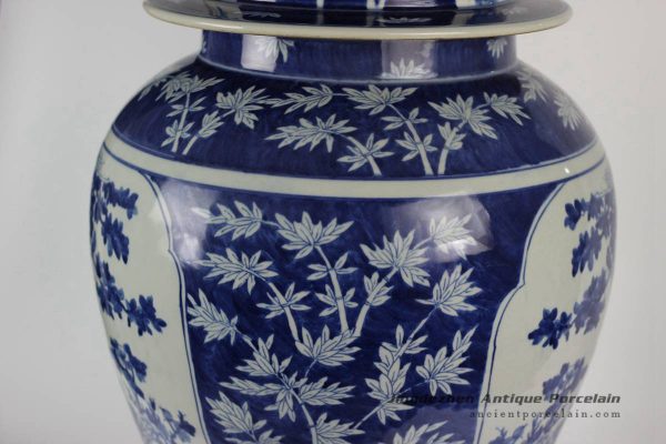 RYLU48_1816 RYLU48_1816