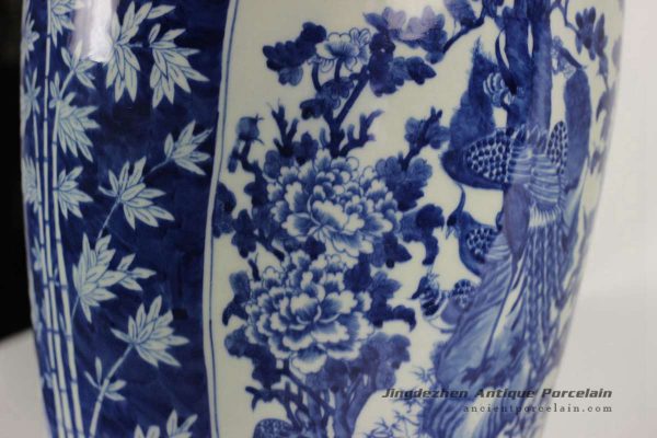 RYLU49-A_1823 RYLU49-A_1823