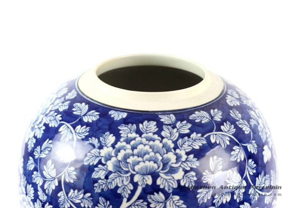 RYLU65_6461 RYLU65_6461