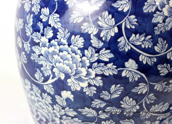 RYLU65_6463 RYLU65_6463