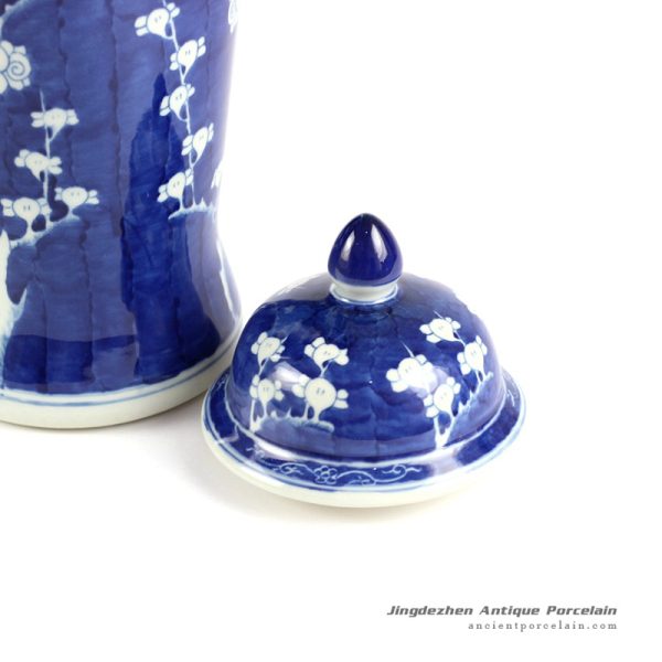 RYLU66-B_6470 RYLU66-B_6470