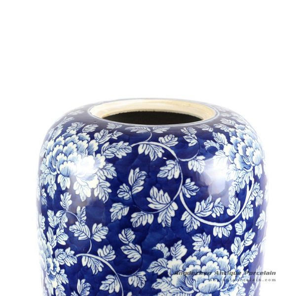 RYLU67-B_6479 RYLU67-B_6479