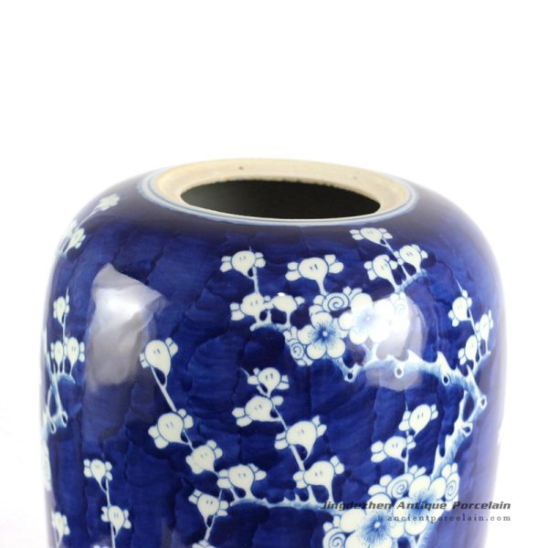 RYLU67-C_6482 RYLU67-C_6482