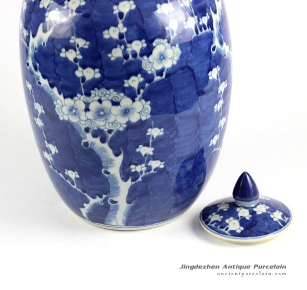 RYLU71-B_6513 RYLU71-B_6513