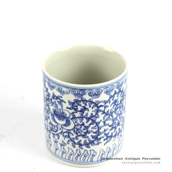 RYLU81_6571 RYLU81_6571