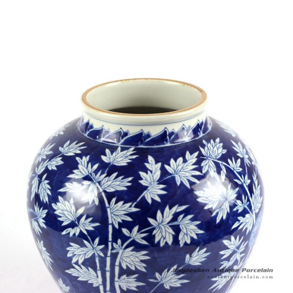 RYLU85_6597 RYLU85_6597