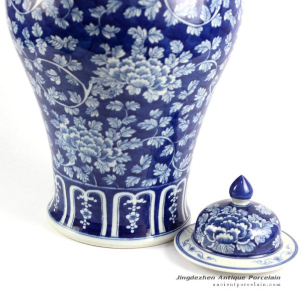 RYLU86_6600 RYLU86_6600