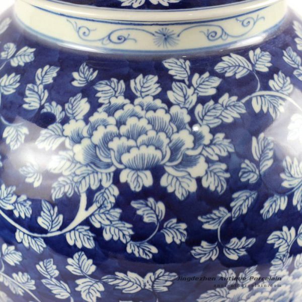 RYLU86_6603 RYLU86_6603