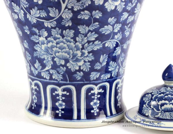 RYLU86_6604 RYLU86_6604