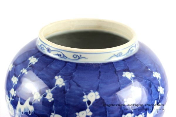 RYLU87_6608 RYLU87_6608