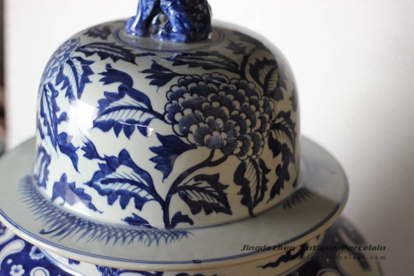 RYLU92_2031 RYLU92_2031