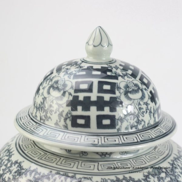 RYLU93_1981 RYLU93_1981