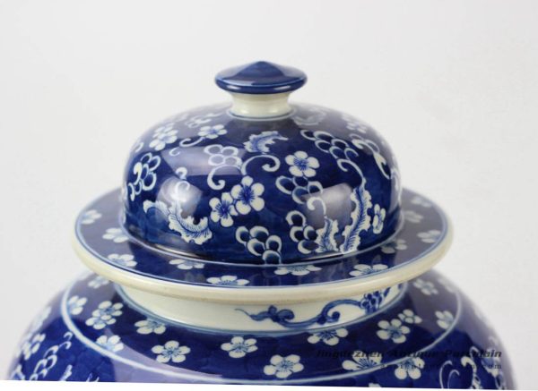 RYLU95_1659 RYLU95_1659