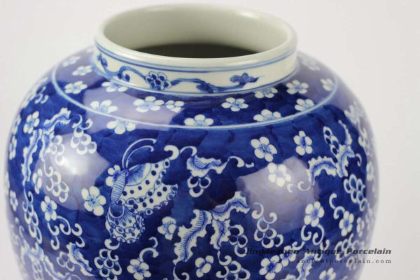 RYLU95_1660 RYLU95_1660