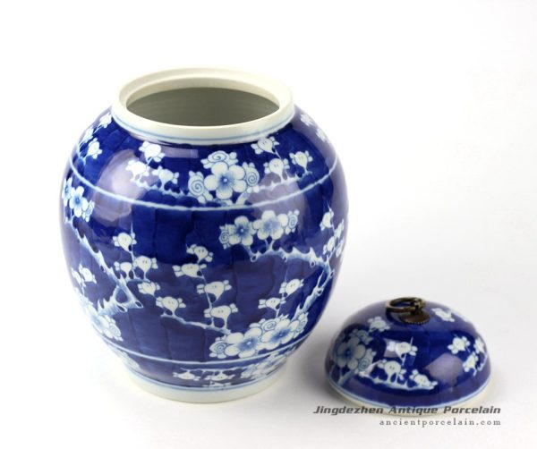 RYLU96_2453 RYLU96_2453