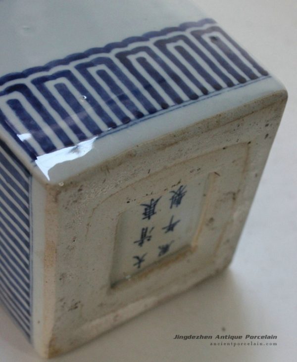 RYQQ07_9709 RYQQ07_9709